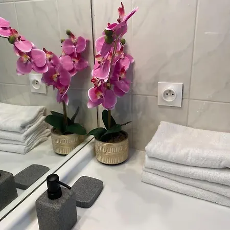 Magnifique Duplex 45 M2 Aux Portes De Paris Metro Barbara A 30mn Expo Porte De Versailles Apartment *