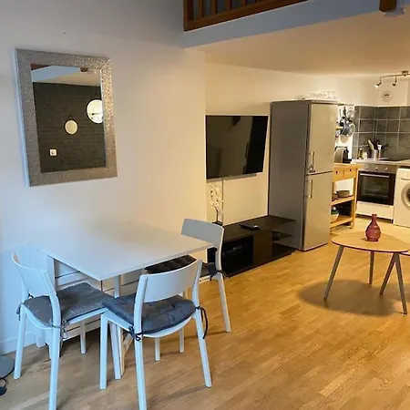 Magnifique Duplex 45 M2 Aux Portes De Paris Metro Barbara A 30mn Expo Porte De Versailles * Montrouge